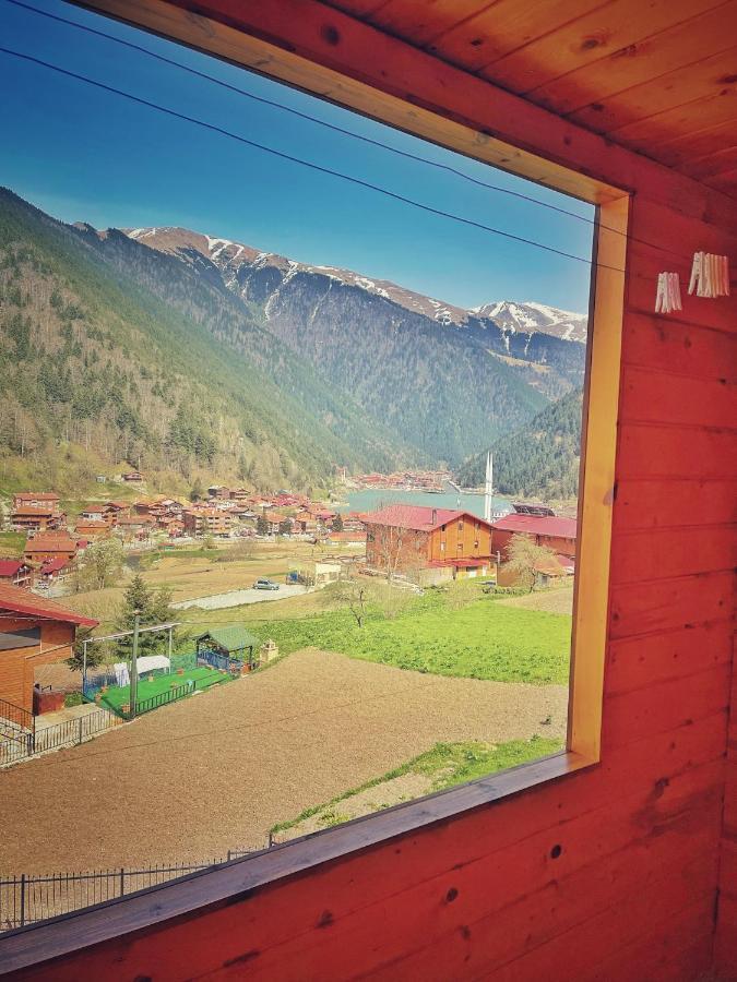 Zeren Bungalov Apart otel Uzungöl Dış mekan fotoğraf