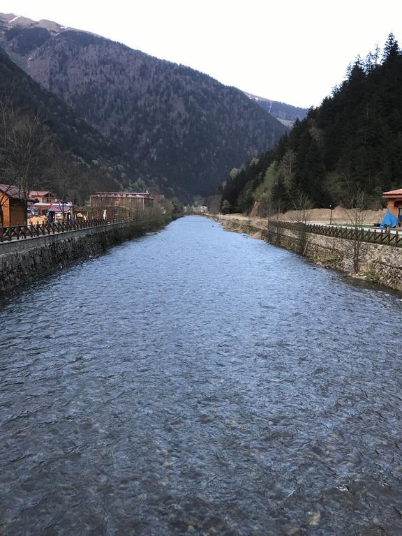 Zeren Bungalov Apart otel Uzungöl Dış mekan fotoğraf