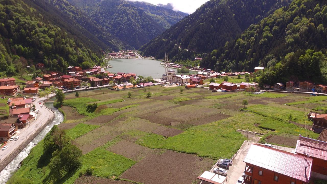 Zeren Bungalov Apart otel Uzungöl Dış mekan fotoğraf